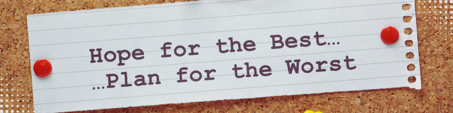 Hope for the Best Plan for the Worst - Disaster Preparedness Course Lesson