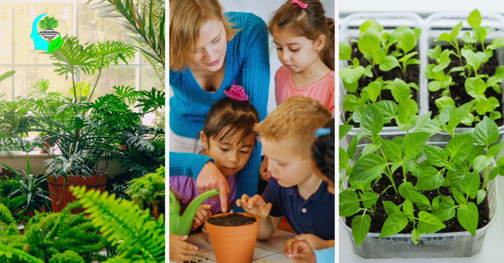 growing-easy-indoor-plants-from-seed-a-beginners-guide
