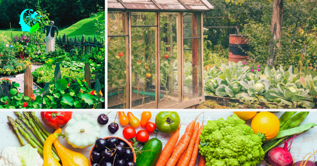 Turning Your Lawn Into a Self-Sufficient Food Forest And Keeping Property Value2