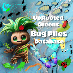 UpRooted-Greens-Bug-Files-Database-copy-rights-reserved-the-mind-of-chaos-opened-and-the-abyss-came-pouring-out-llc-product-uprooted-greens-total-off-grid-self-sufficiency-and-independence-system