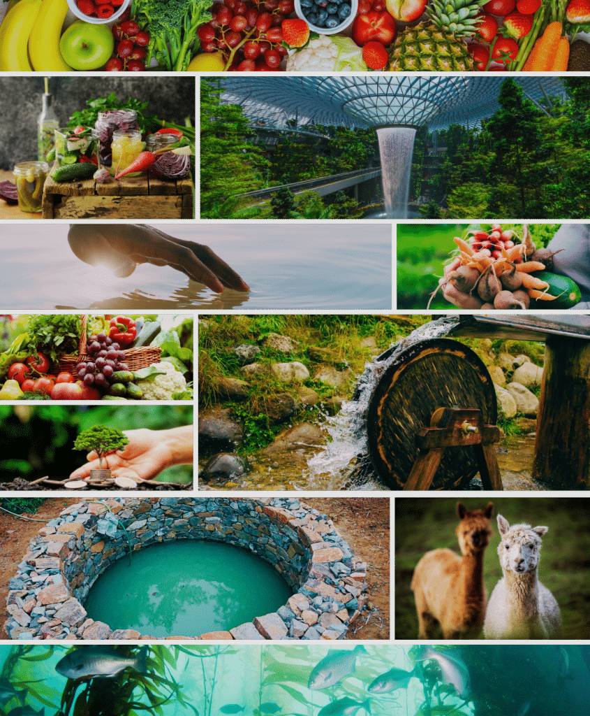 home page homesteading