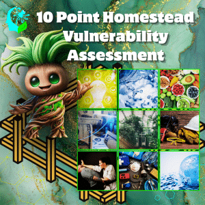 10 Point Homestead vulnerability assessment