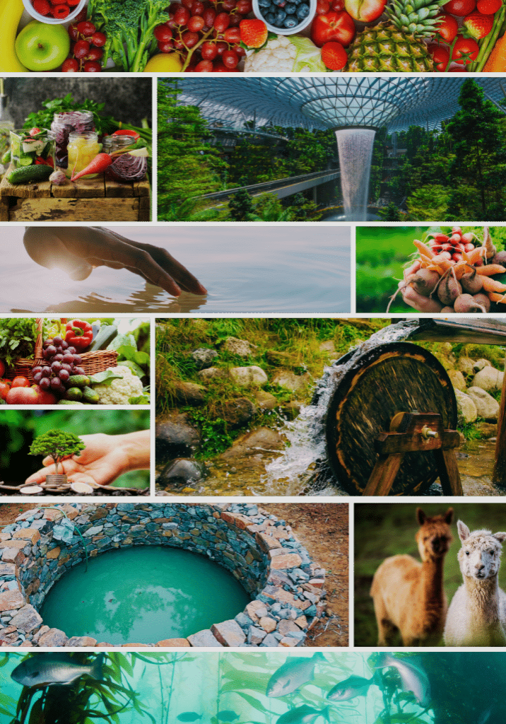 home page homesteading